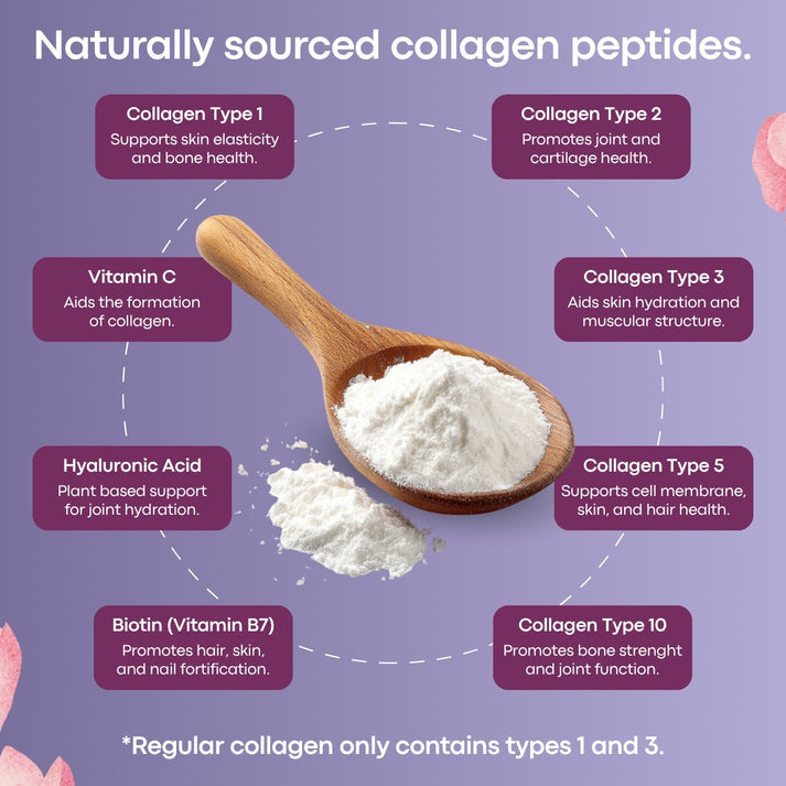 Multi Collagen Peptides Powder (Types I, II, III, V & X) – Unflavored