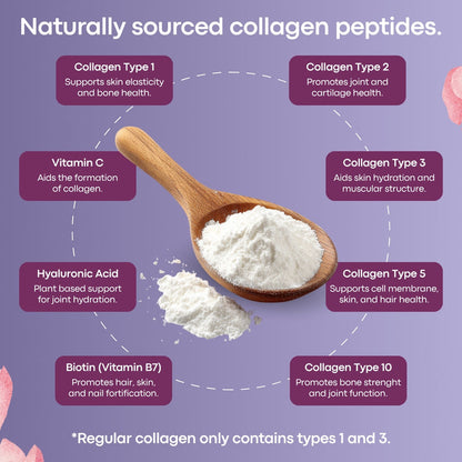 Multi Collagen Peptides Powder (Types I, II, III, V & X) – Unflavored