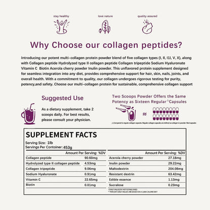 Multi Collagen Peptides Powder (Types I, II, III, V & X) – Unflavored